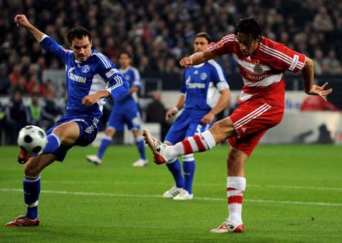 现形成鲜明 现形成鲜明